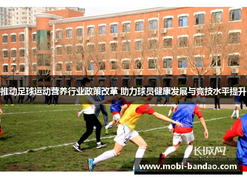 推动足球运动营养行业政策改革 助力球员健康发展与竞技水平提升