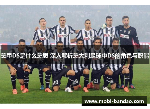 意甲DS是什么意思 深入解析意大利足球中DS的角色与职能