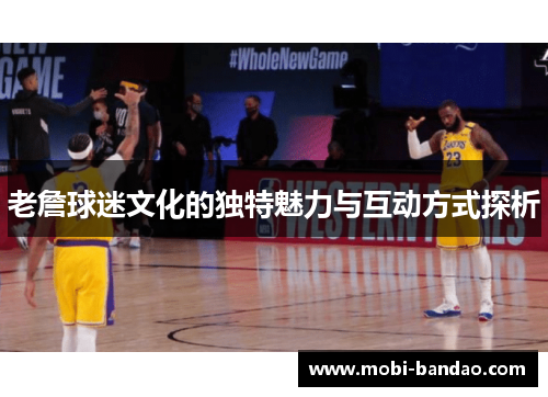 老詹球迷文化的独特魅力与互动方式探析