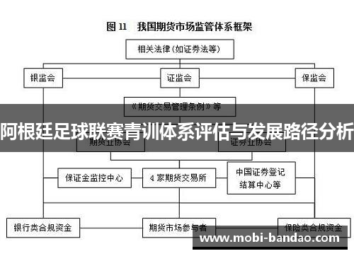 阿根廷足球联赛青训体系评估与发展路径分析