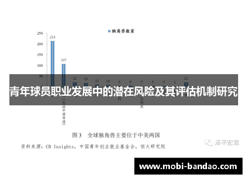 青年球员职业发展中的潜在风险及其评估机制研究