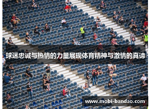 球迷忠诚与热情的力量展现体育精神与激情的真谛
