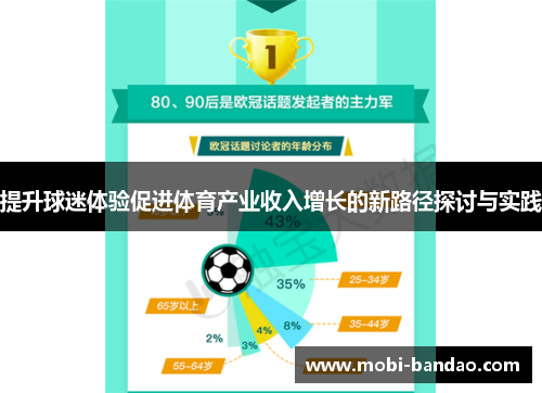 提升球迷体验促进体育产业收入增长的新路径探讨与实践