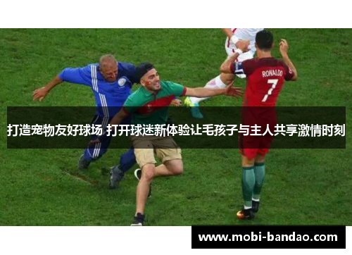 打造宠物友好球场 打开球迷新体验让毛孩子与主人共享激情时刻