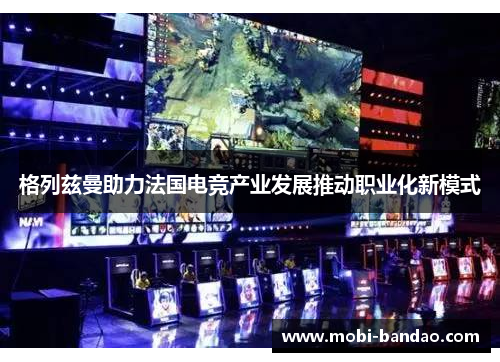 格列兹曼助力法国电竞产业发展推动职业化新模式