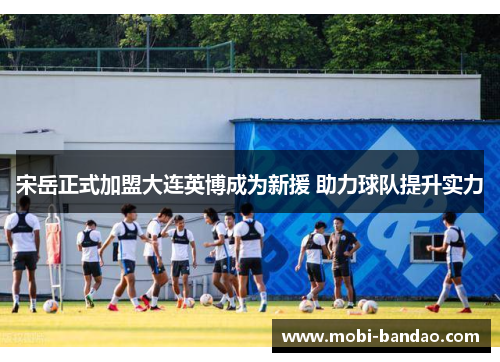 宋岳正式加盟大连英博成为新援 助力球队提升实力