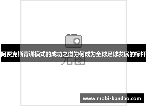 阿贾克斯青训模式的成功之道为何成为全球足球发展的标杆
