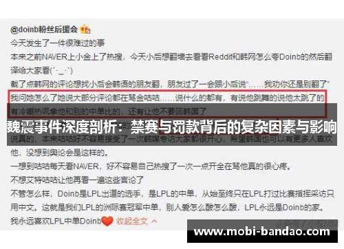 魏震事件深度剖析：禁赛与罚款背后的复杂因素与影响