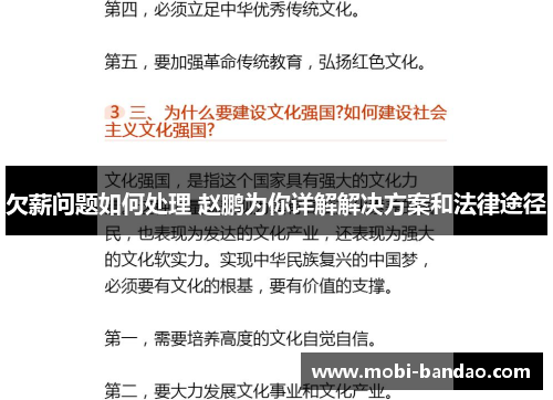 欠薪问题如何处理 赵鹏为你详解解决方案和法律途径