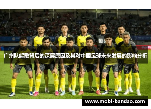 广州队解散背后的深层原因及其对中国足球未来发展的影响分析