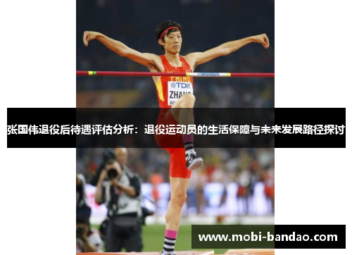 张国伟退役后待遇评估分析：退役运动员的生活保障与未来发展路径探讨
