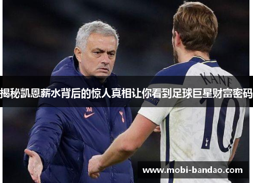 揭秘凯恩薪水背后的惊人真相让你看到足球巨星财富密码